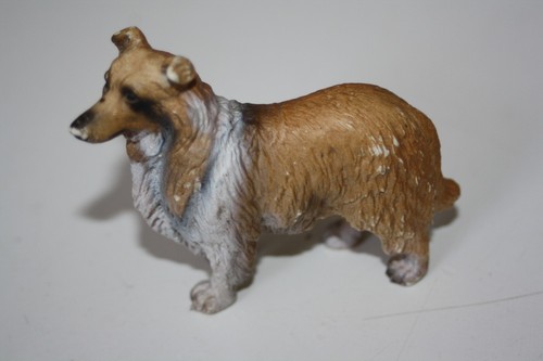 Rar alter collie - rar,